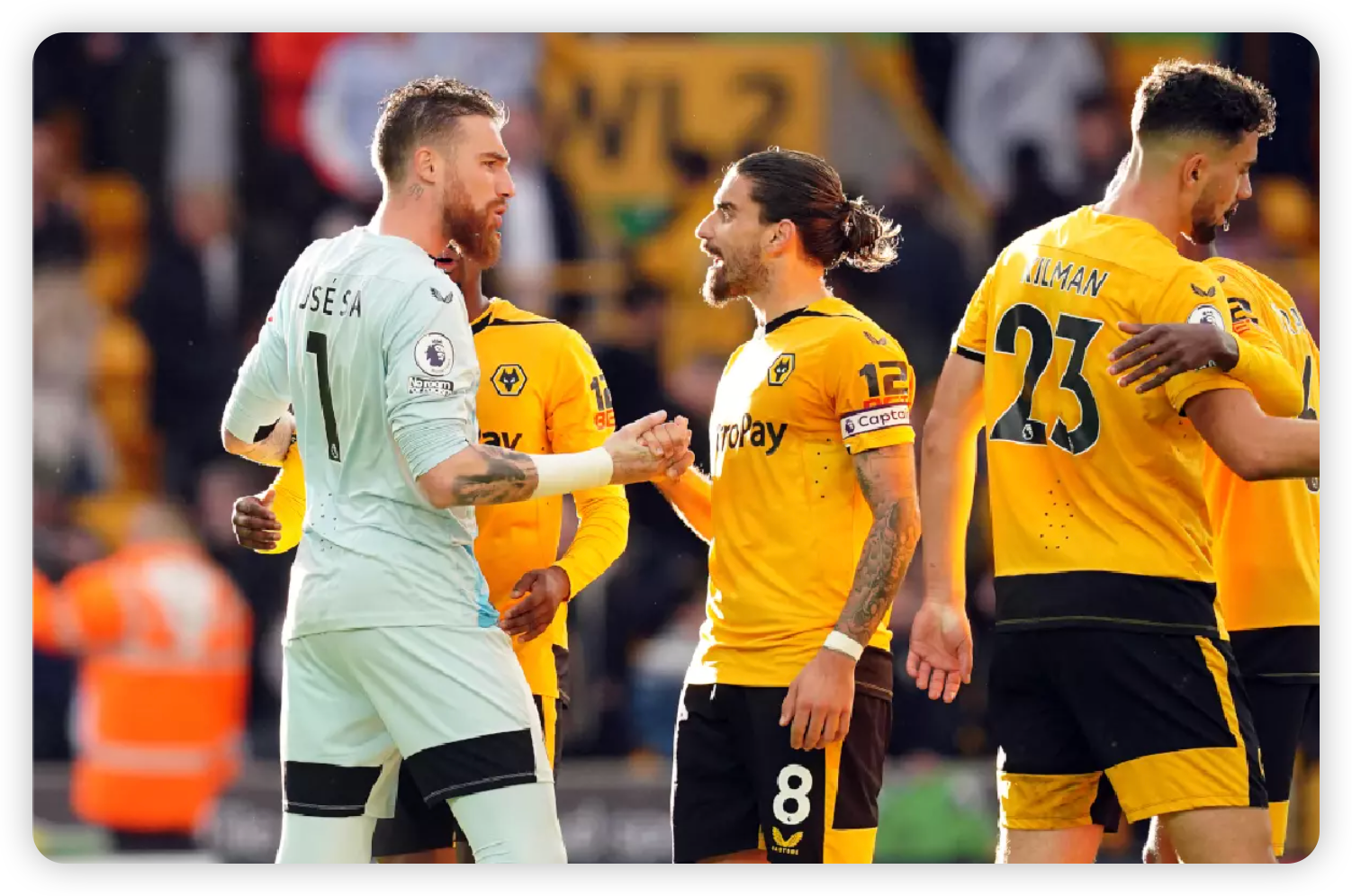 What the Experts Say